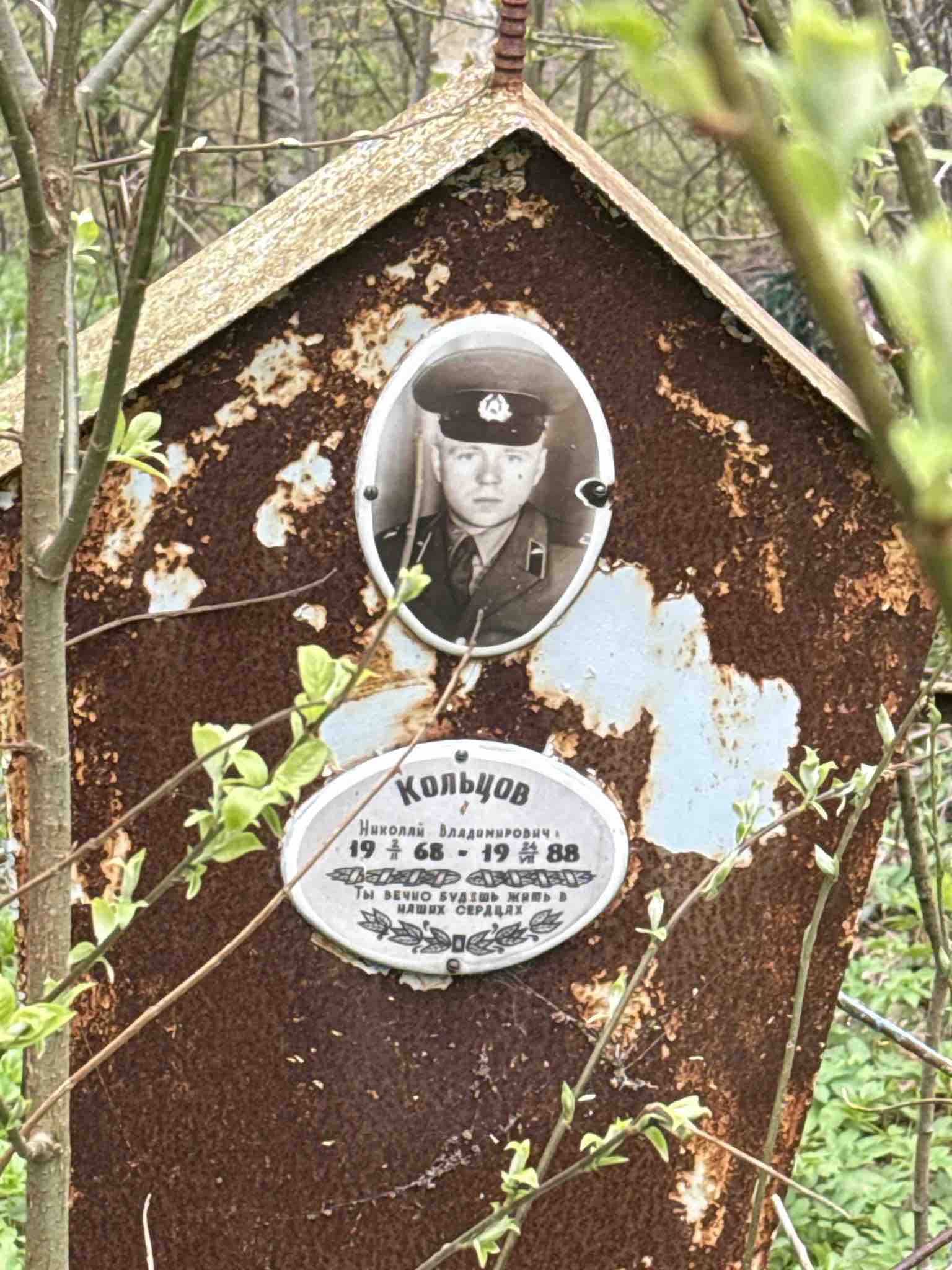 Кольцов Николай Владимирович