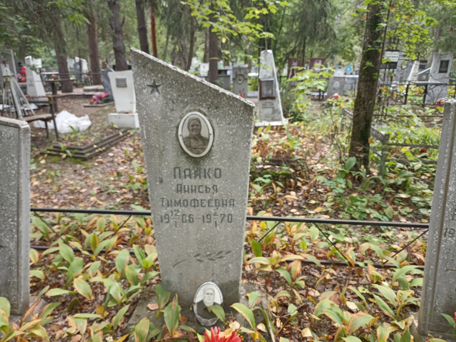 Пайко Анисья Тимофеевна