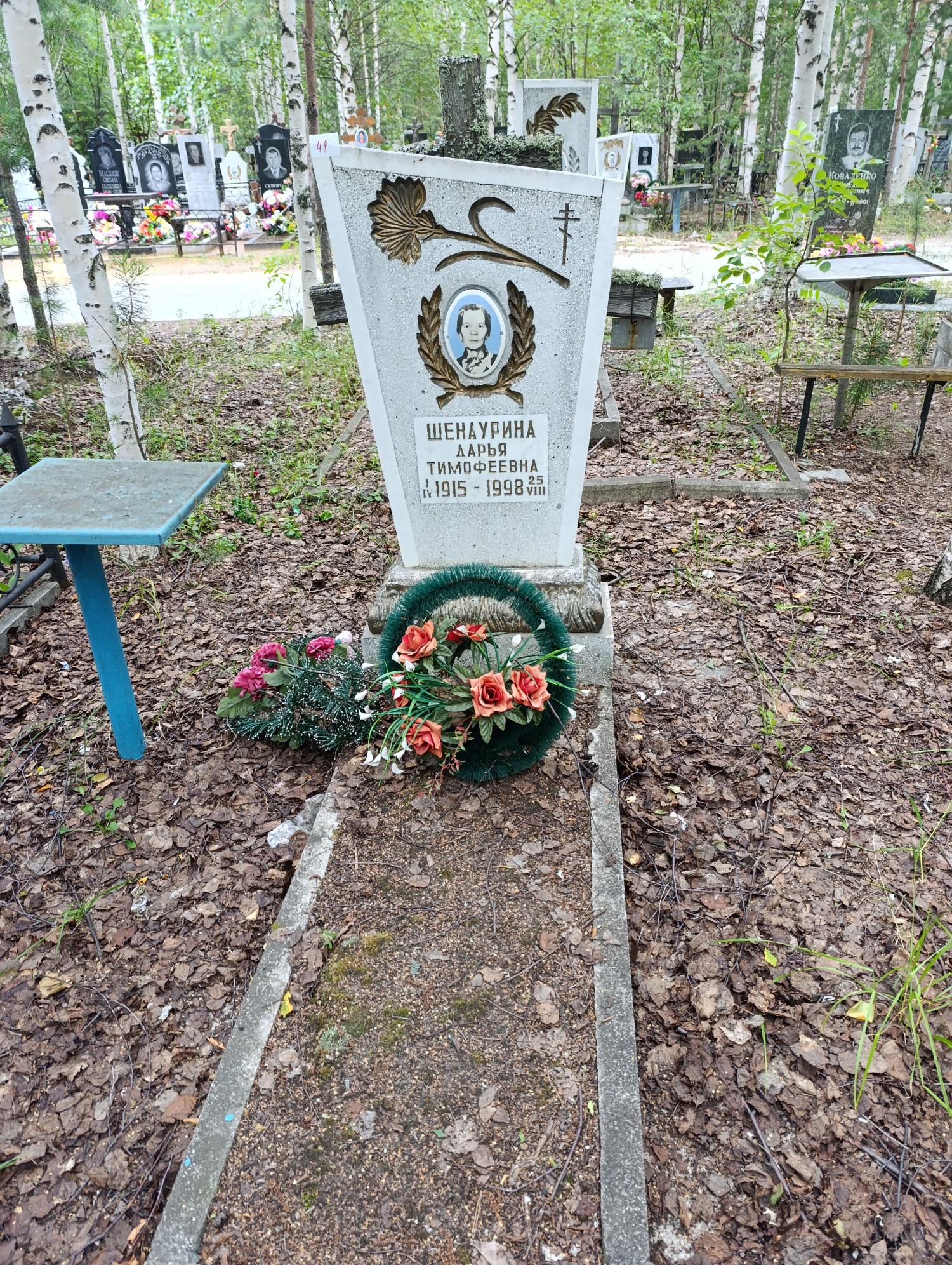 Шенаурина Дарья Тимофеевна