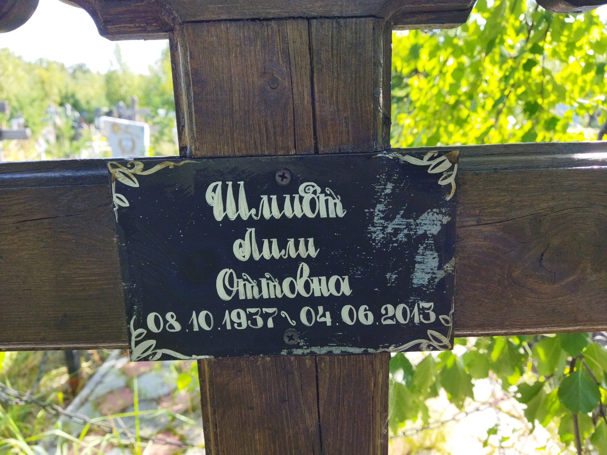 Шмидт Лили Оттовна