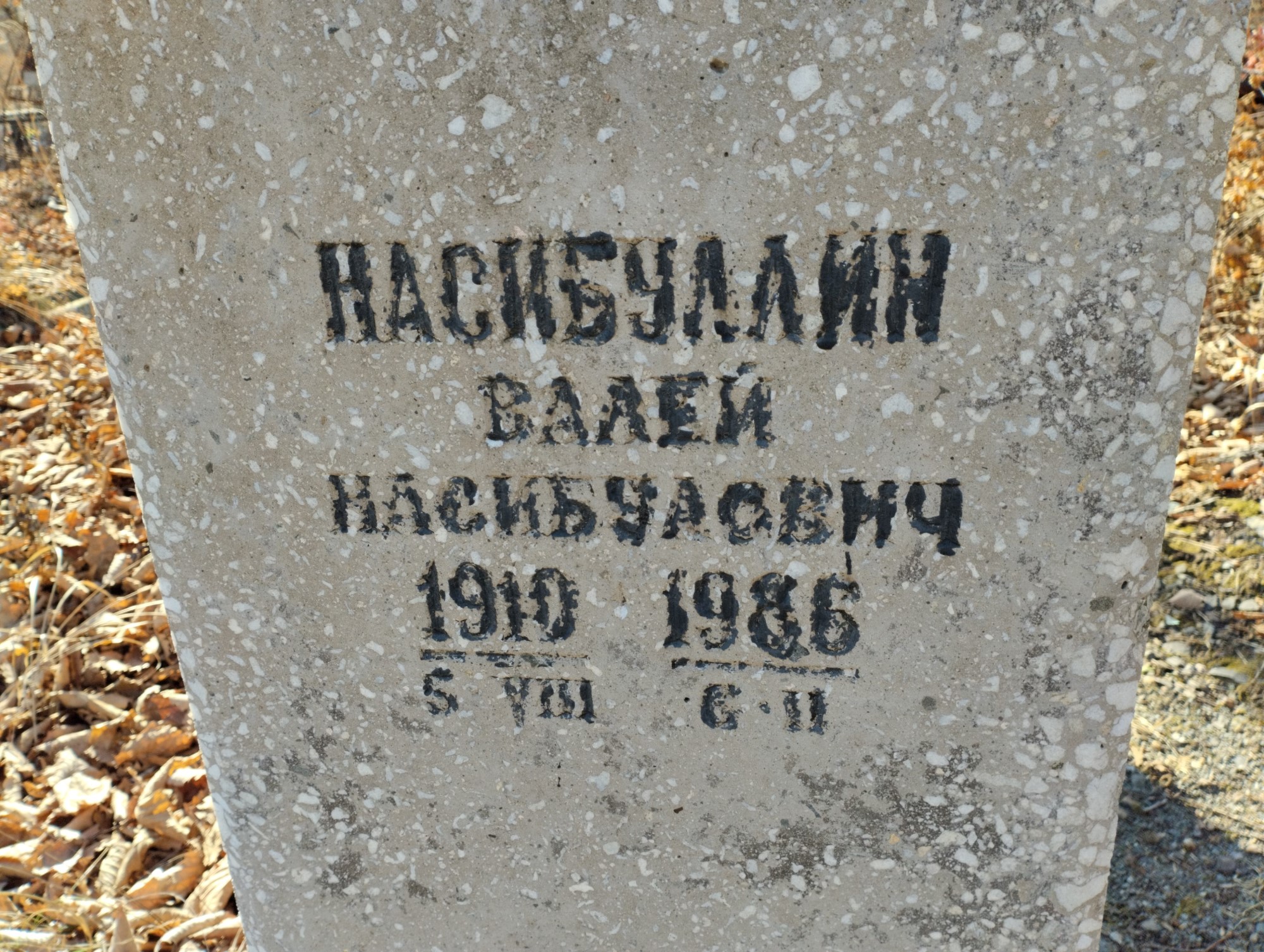 Насибулин Валей Насибулевич