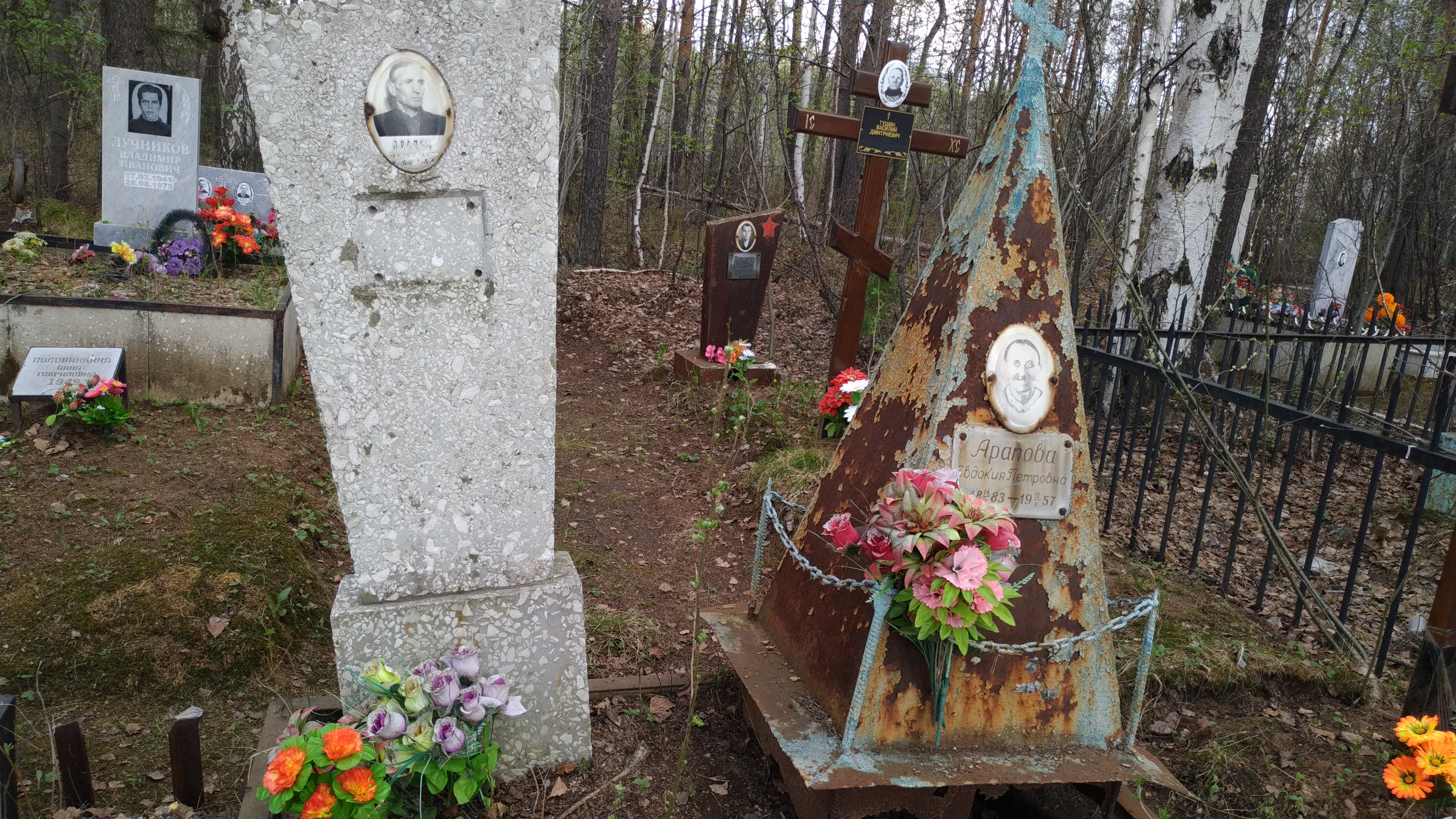 Арапова Евдокия Петровна