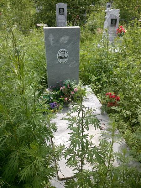 Звонарев Николай Иванович