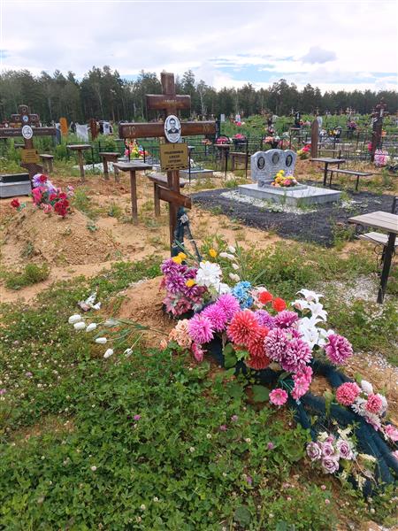 Крашенинников Алексей Сергеевич