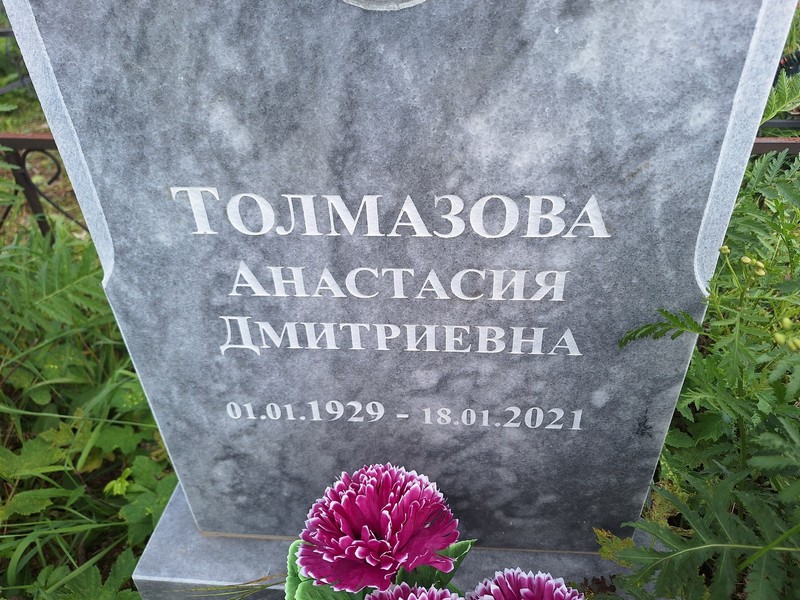 Толмазова Анастасия Дмитриевна