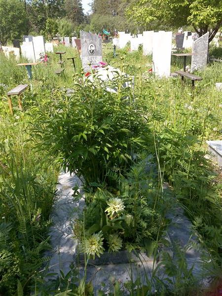 Уразбахтина Мастура Гарифовна