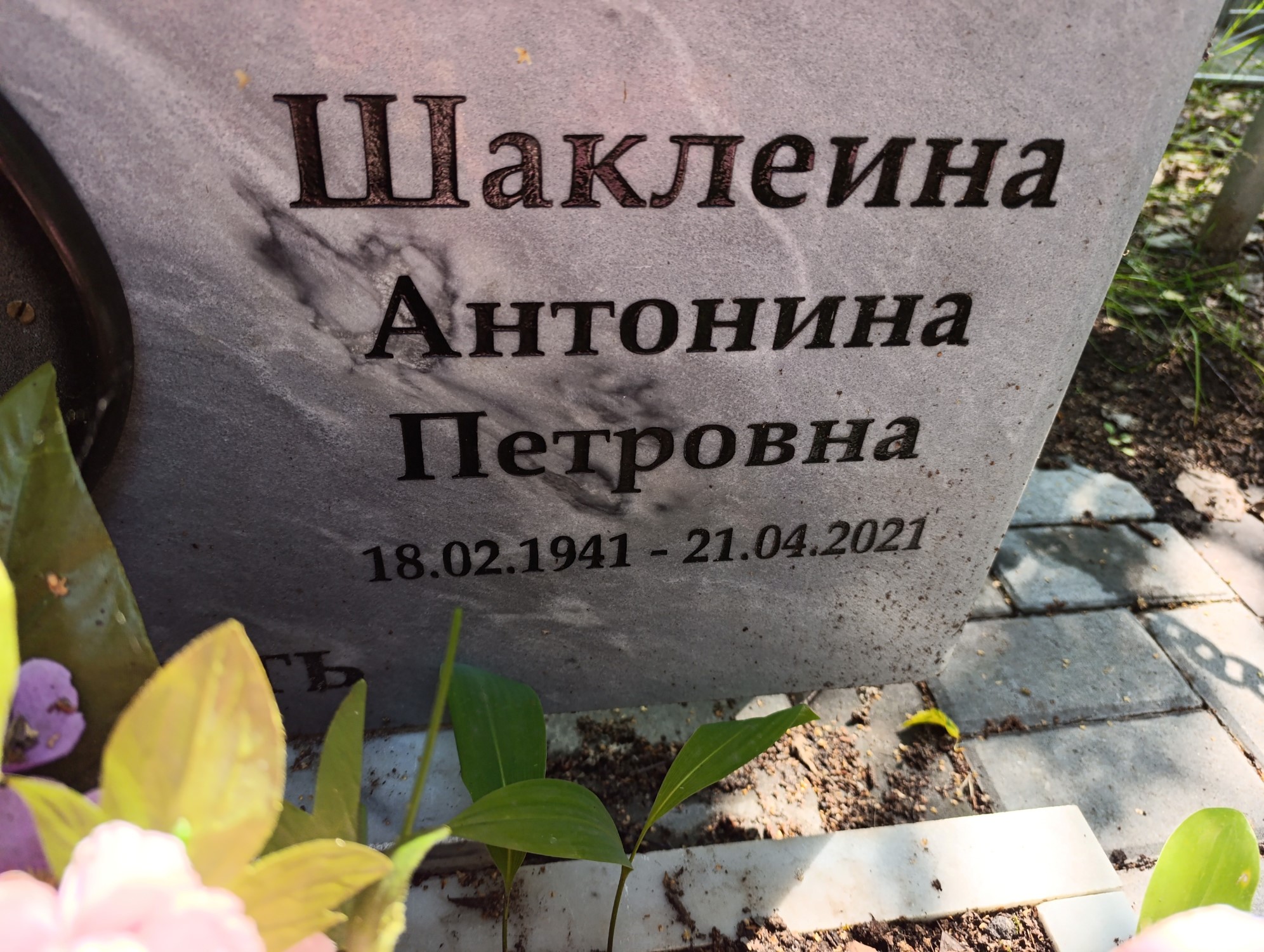 Шаклеина Антонина Петровна