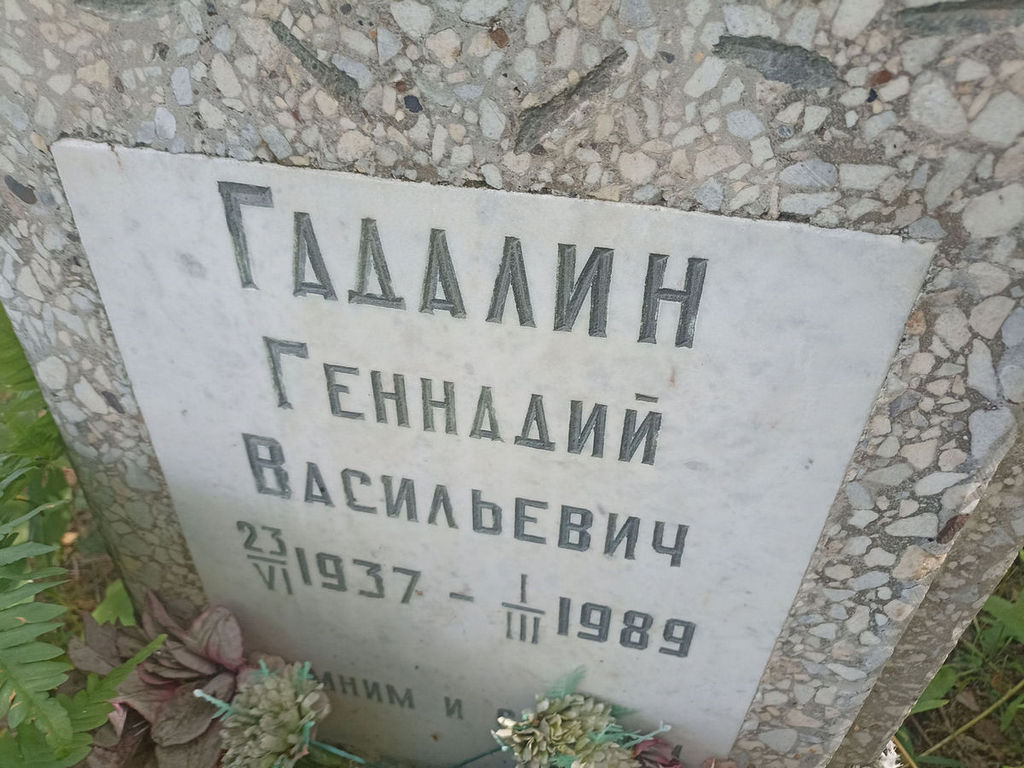 Гадалин Геннадий Васильевич