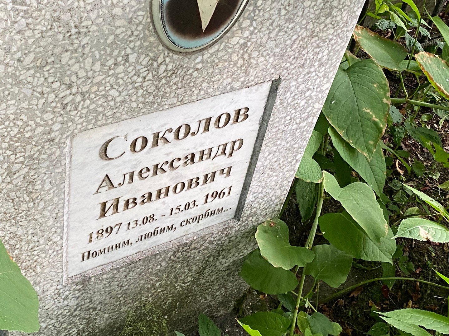 Соколов