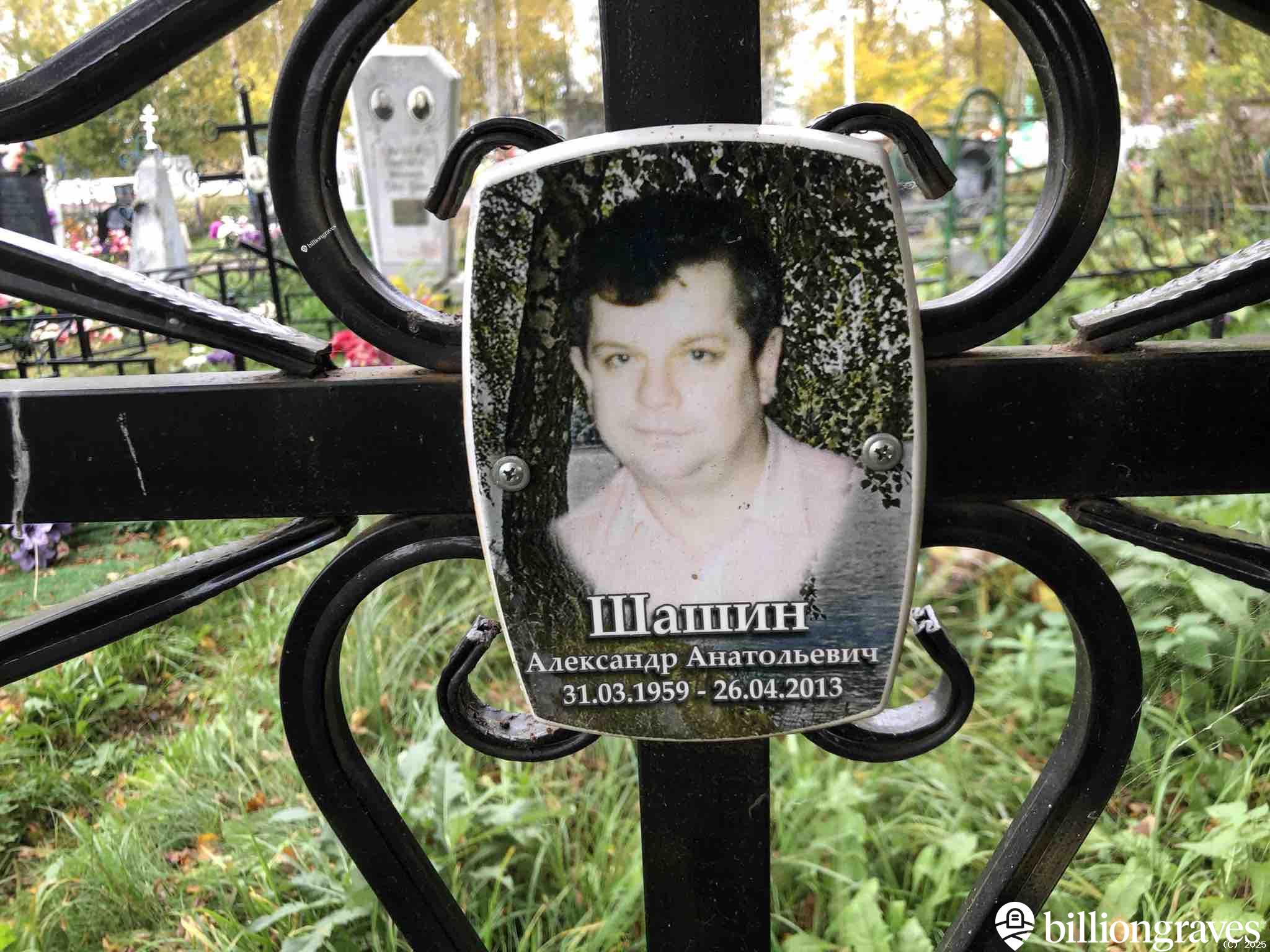 Шашин Александр Анатольевич