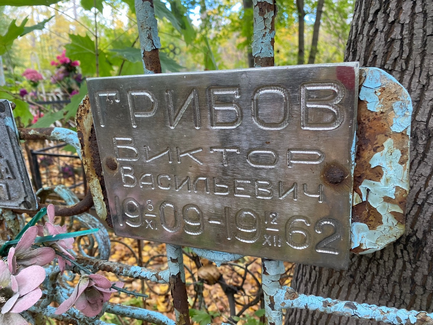Грибов
