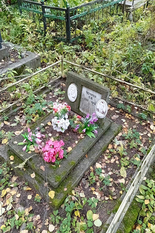 Чернова Н. Н.