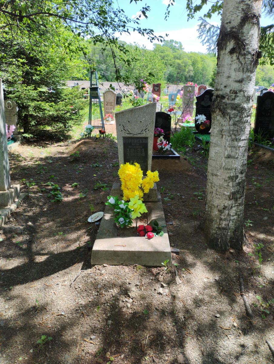 Боровский Пётр Иванович