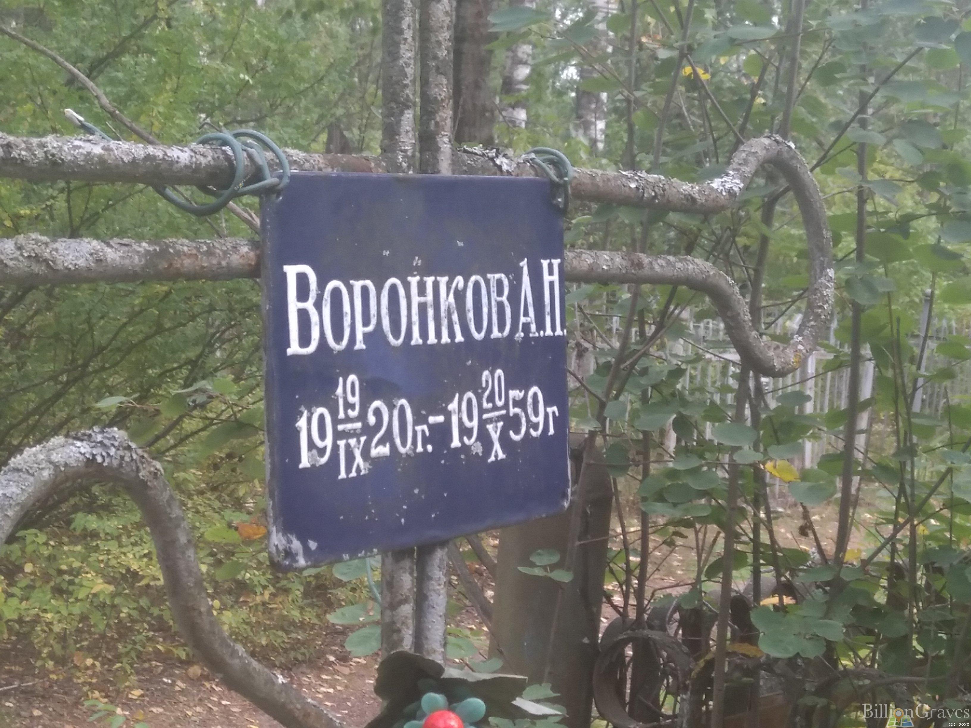 Воронков А. Н.