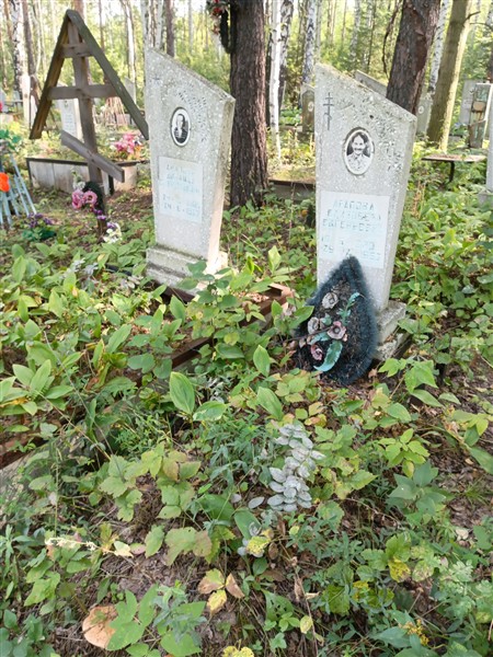 Арапова Елизавета Евгеньевна