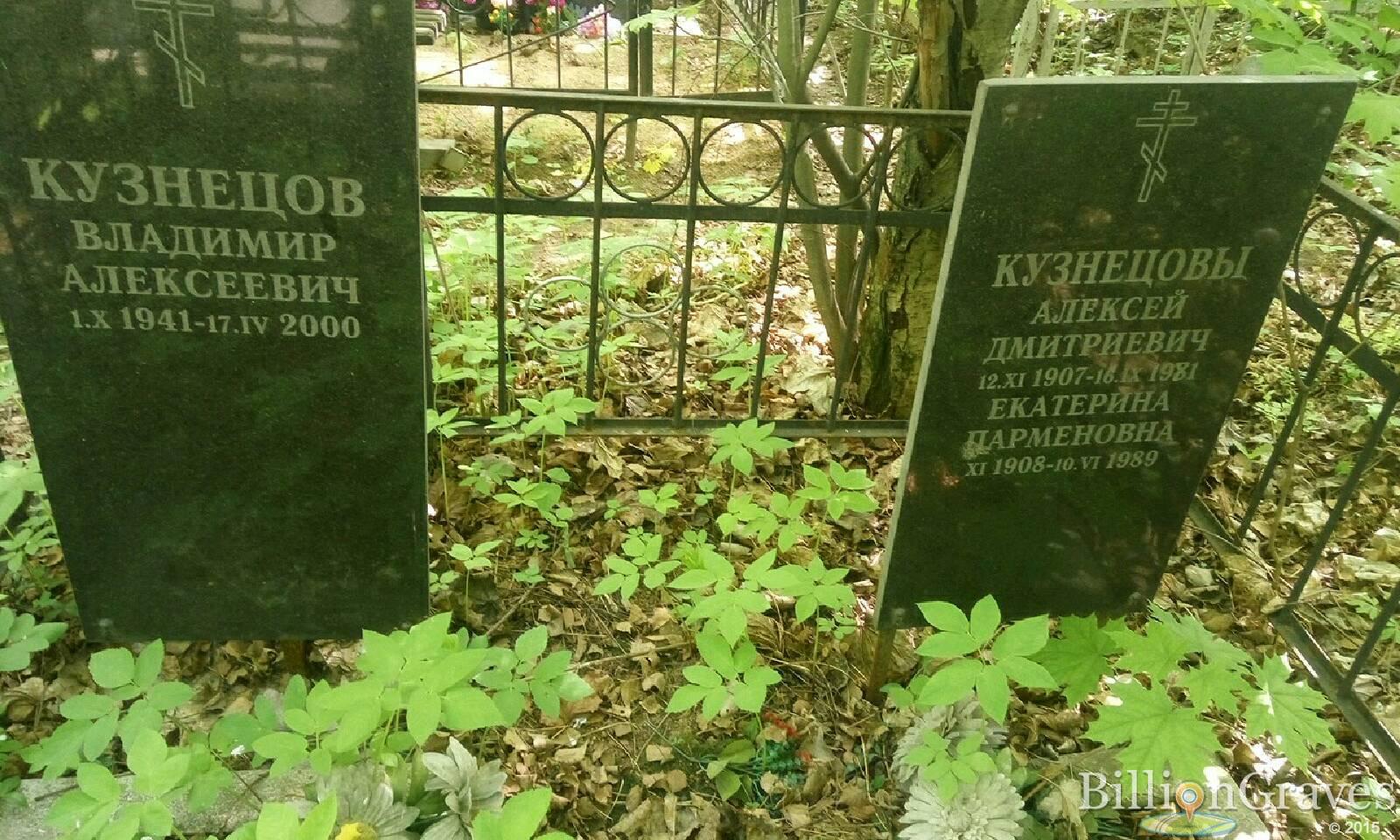 кузнецов владимир алексеевич