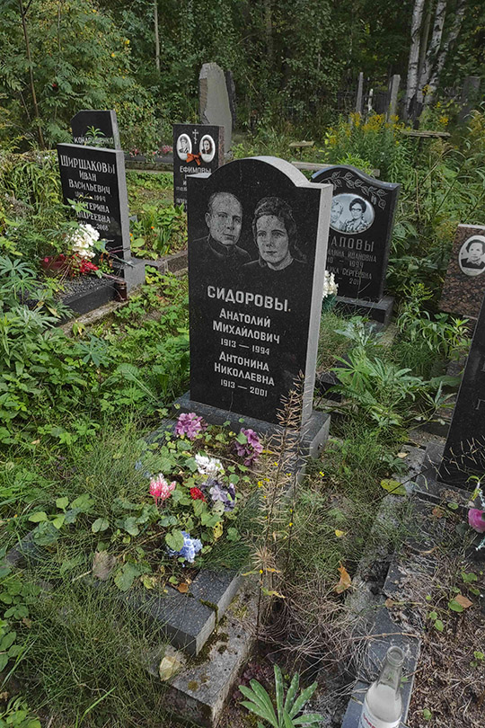 Сидоров Анатолий Михайлович
