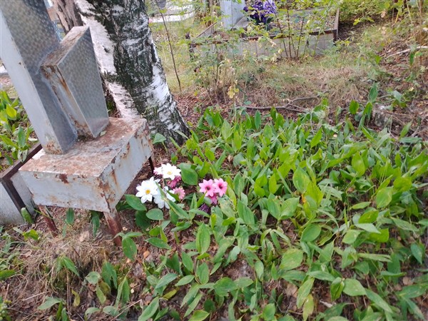Кладова Елена Гордеевна