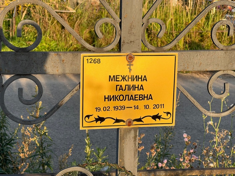 Межнина