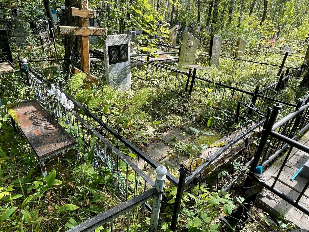 Сорокина Альбина Васильевна