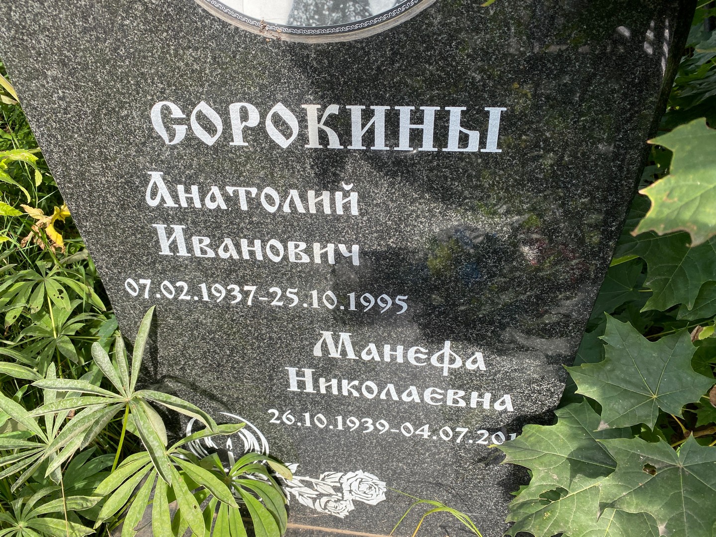 Сорокин