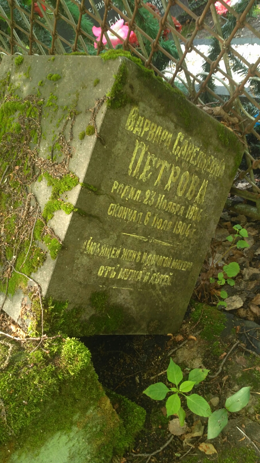 Петрова Варвара Савельевна