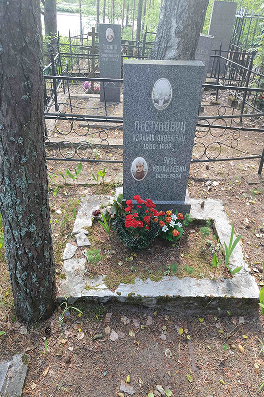 Пестунович Израиль Яковлевич