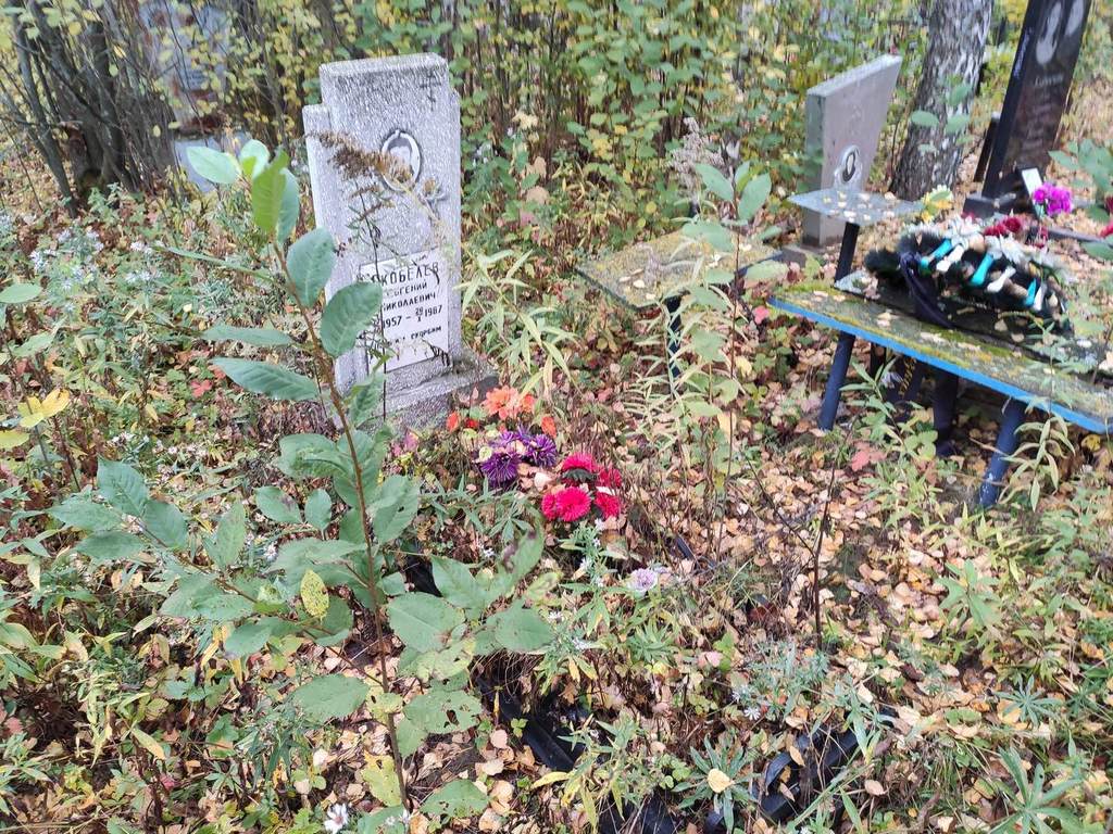Скобелев Евгений Николаевич