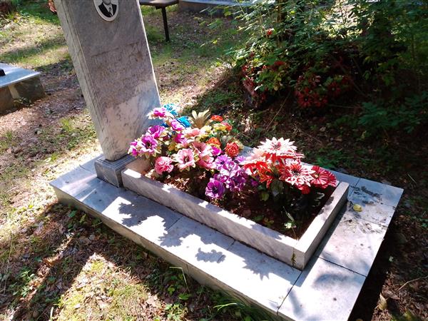 Овчинников Семён Михайлович