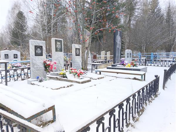 Зеленин Андрей Германович