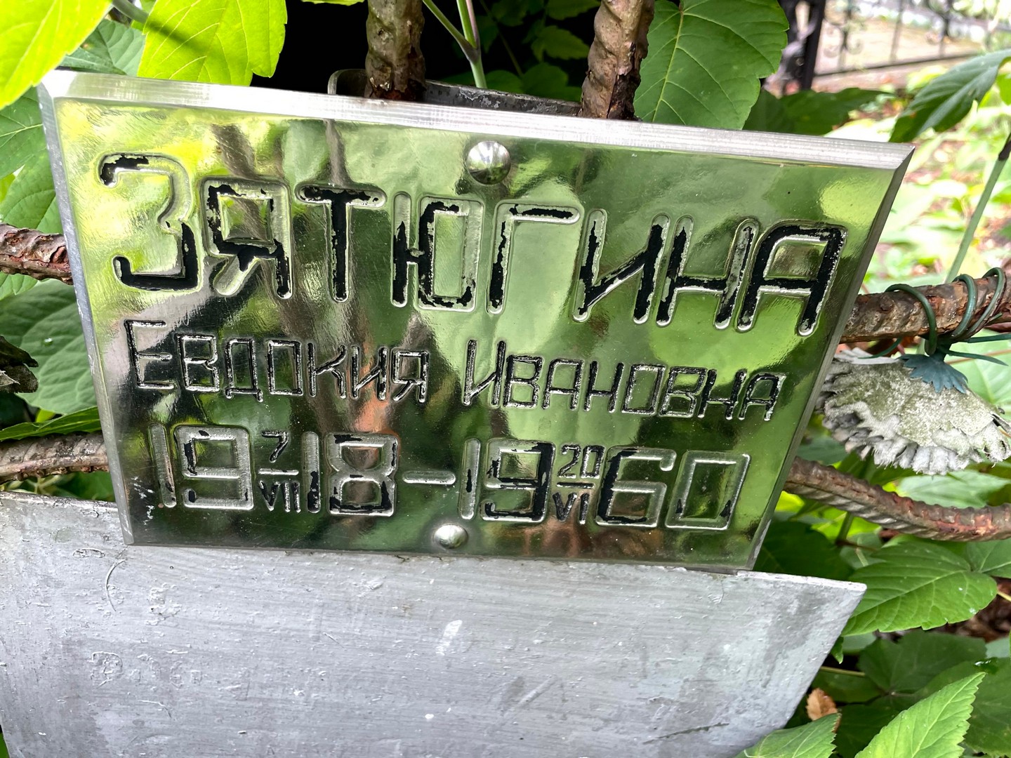 Зятюгина