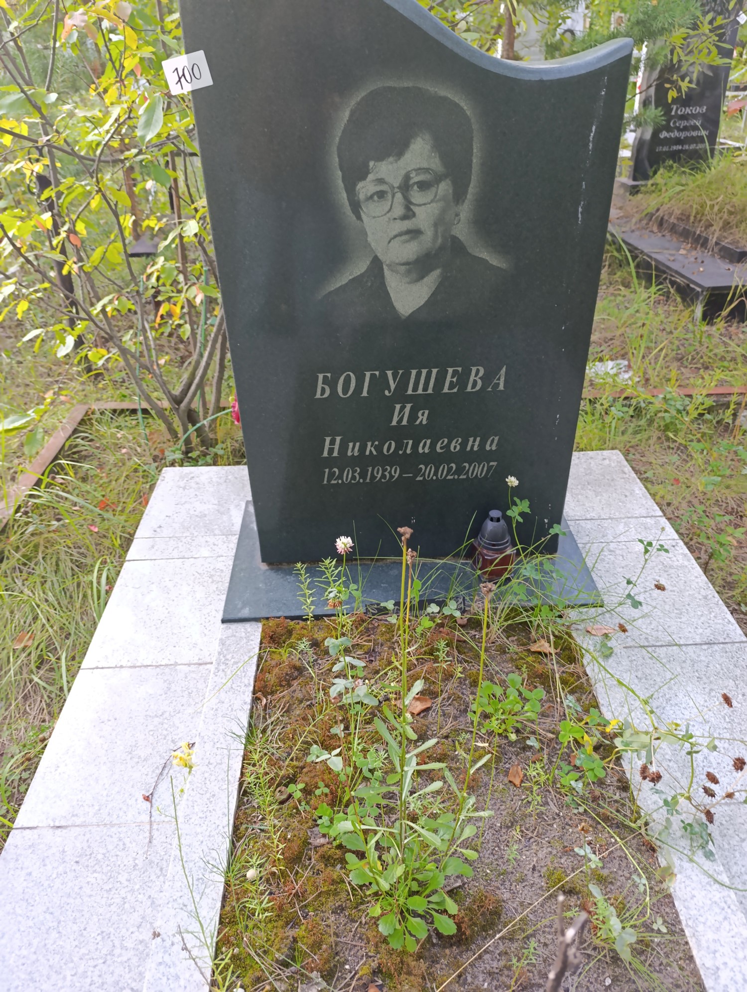 Богушева Ия Николаевна