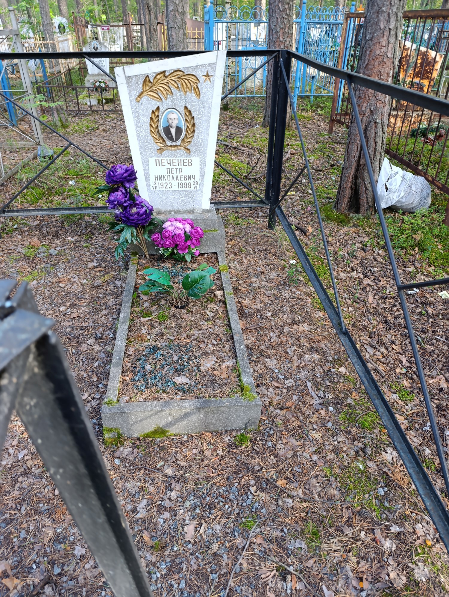 Печенев Петр Николаевич