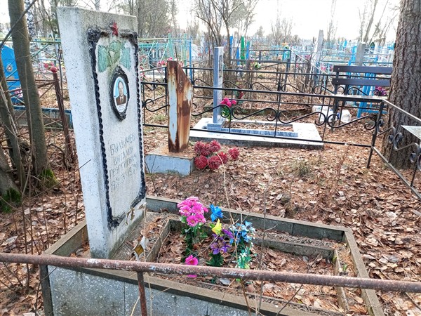 Булычев Виталий Георгиевич