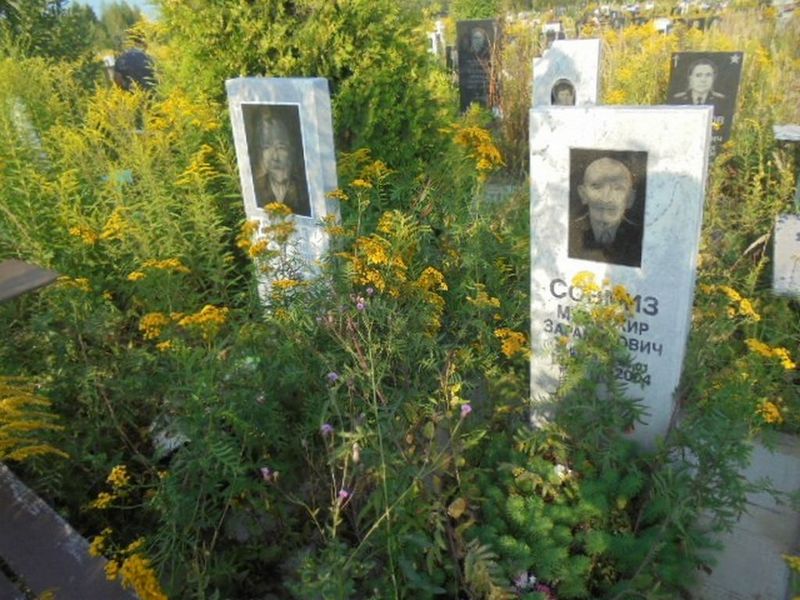 Совмиз Музаджир Зарамукович