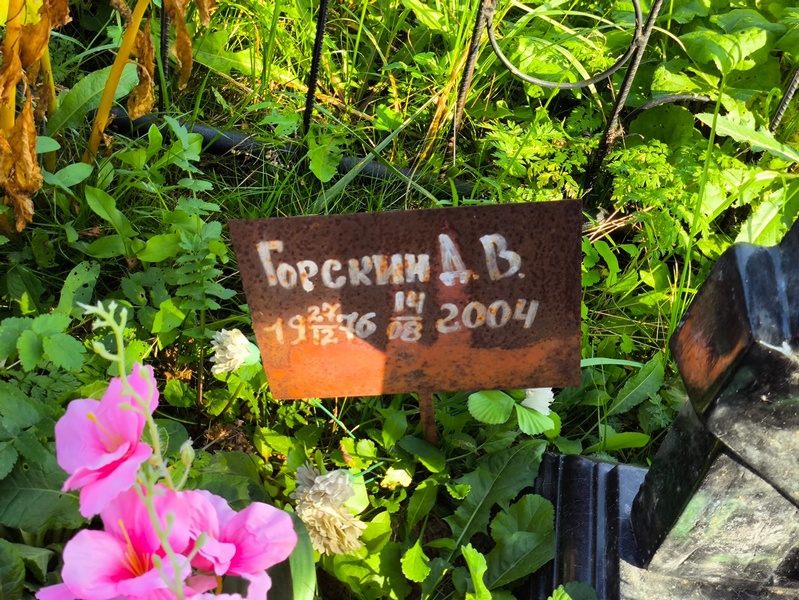 Д. Горскин В.