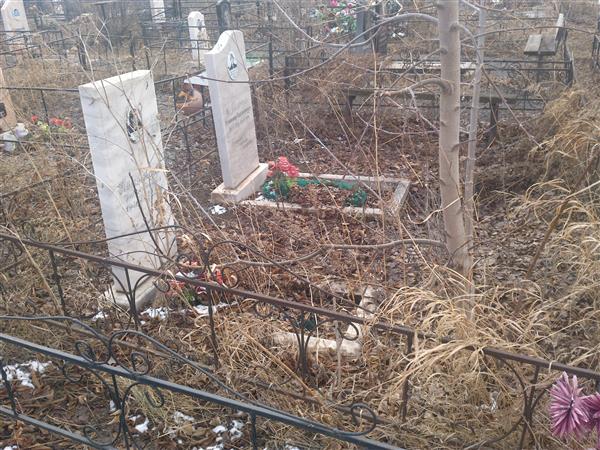 Куликовский Владимир Харлантьевич