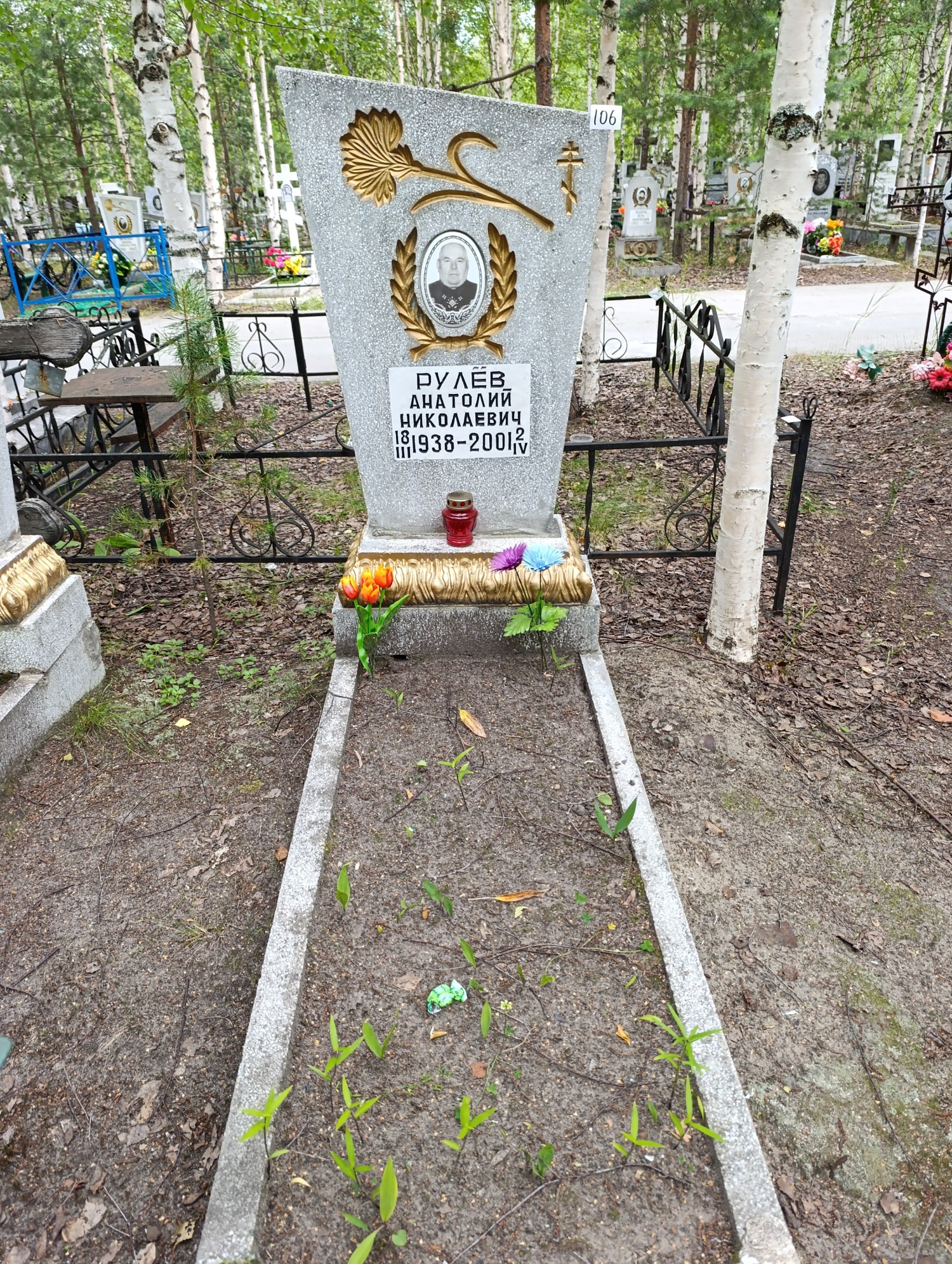 Рулев Анатолий Николаевич
