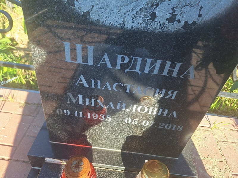 Шардина Анастасия Михайловна