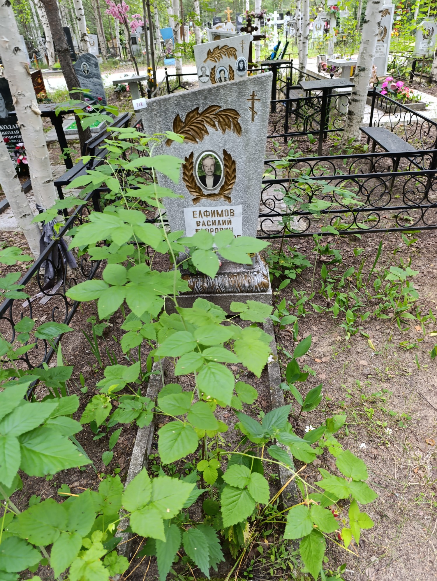 Елфимов Василий Егорович
