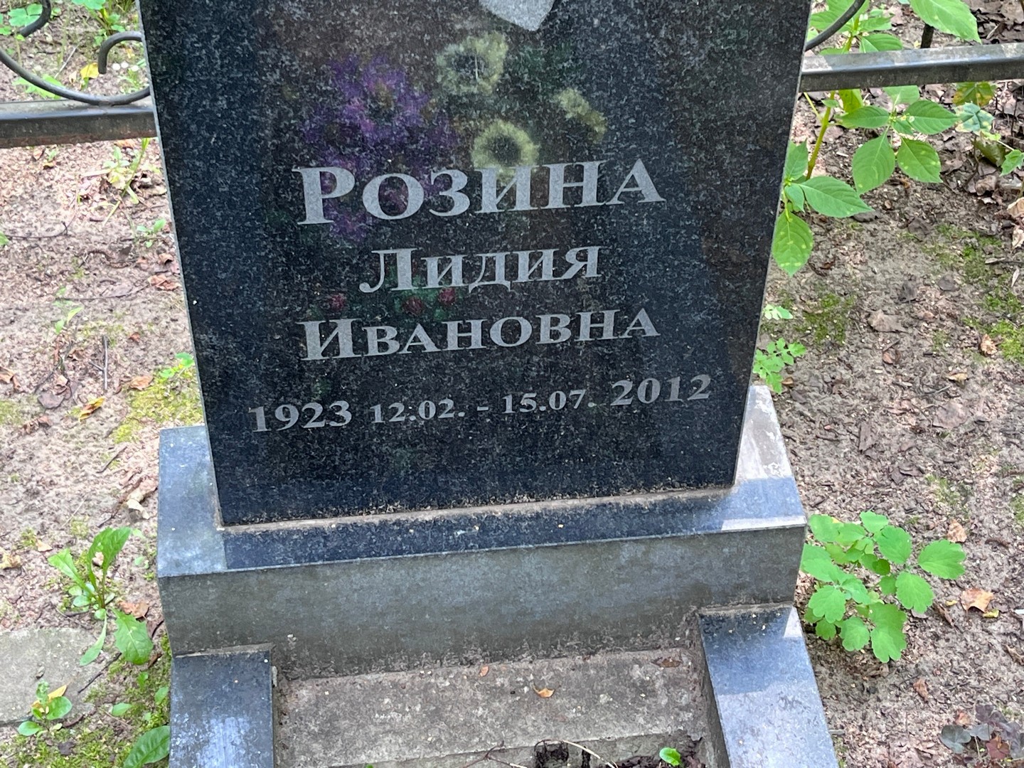 Розина