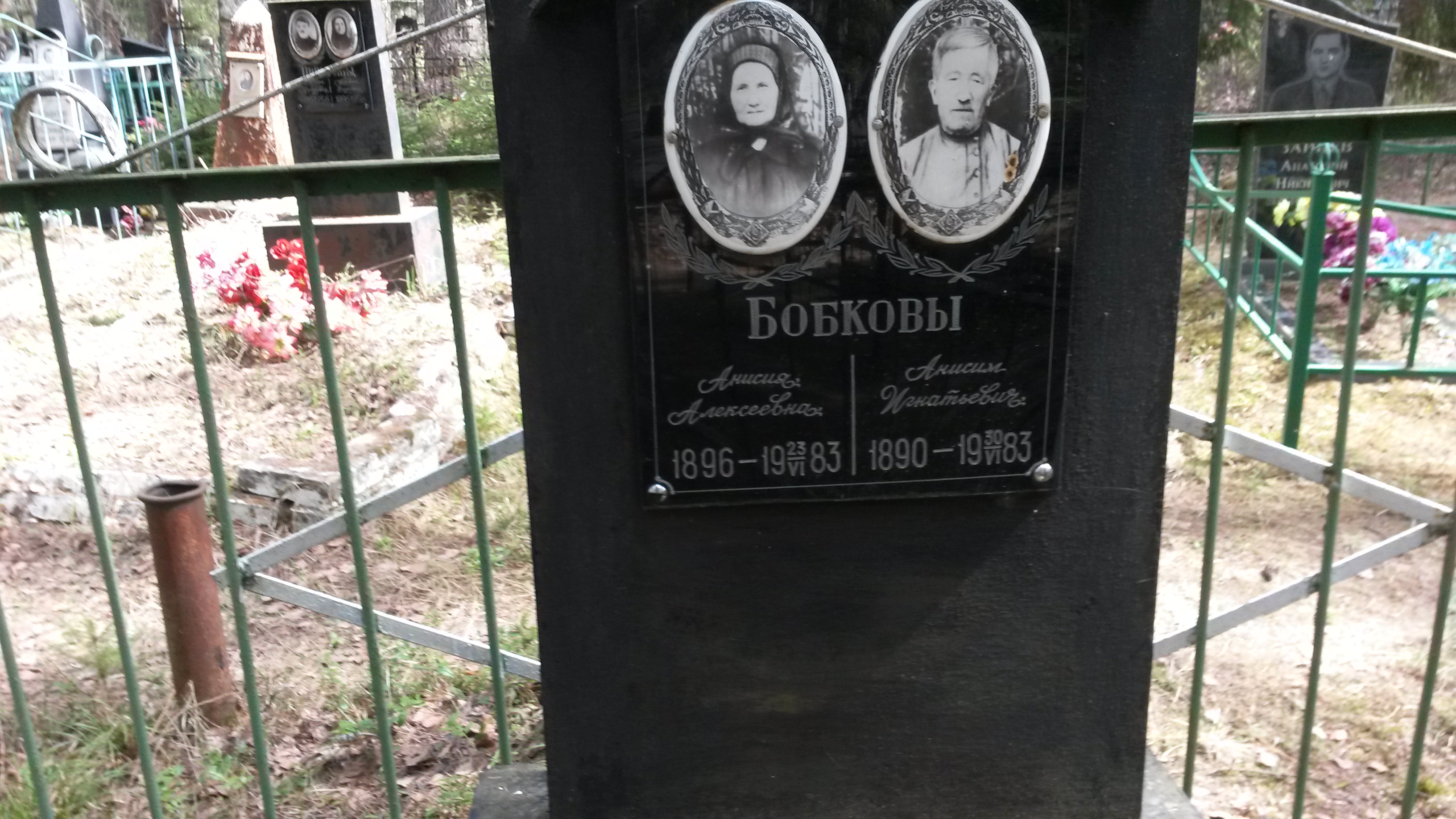 Бобков Анисим Игнатович