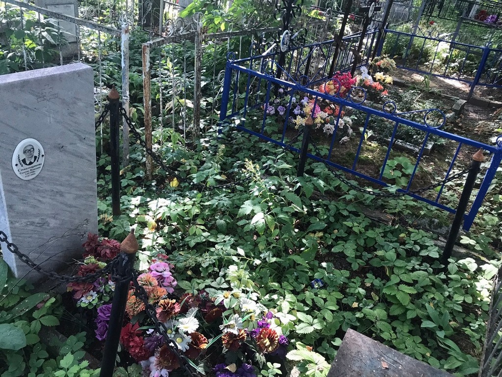 Стекольщикова Евдокия Яковлевна