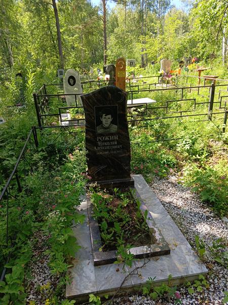 Рожин Николай Александрович
