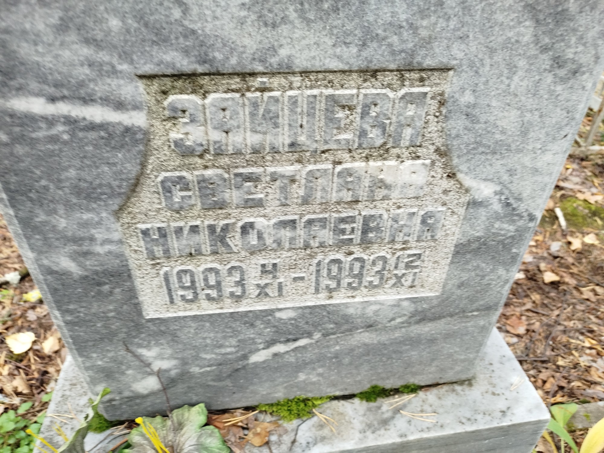Зайцева Светлана Николаевна