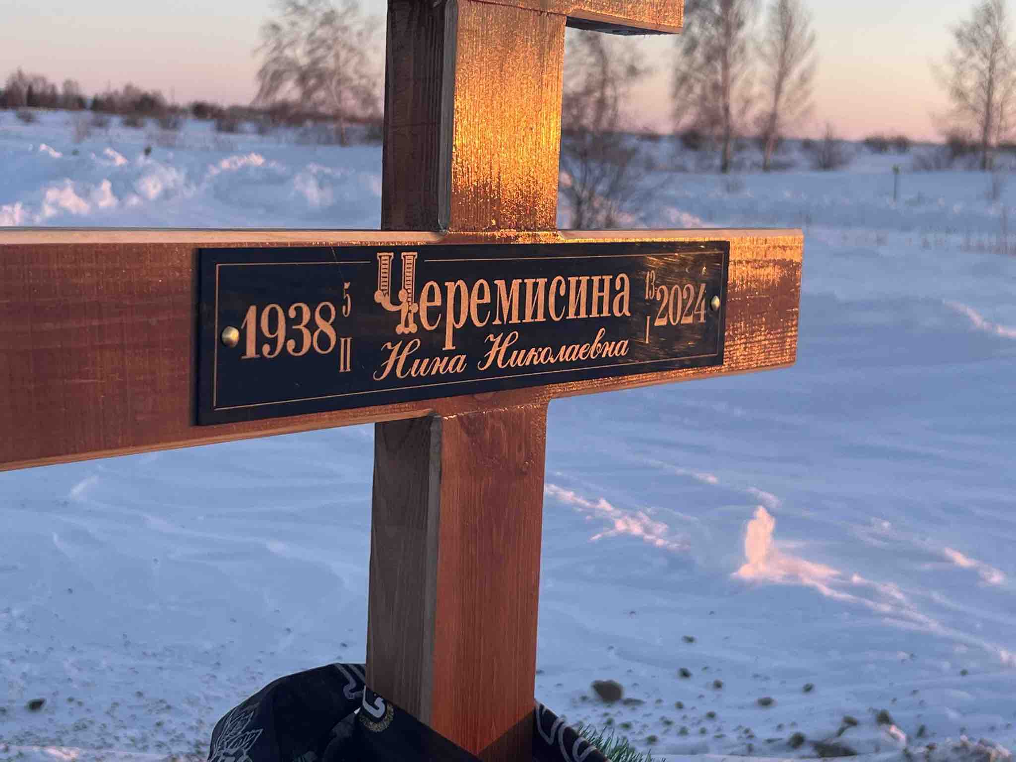 Черемисина Нина Николаевна