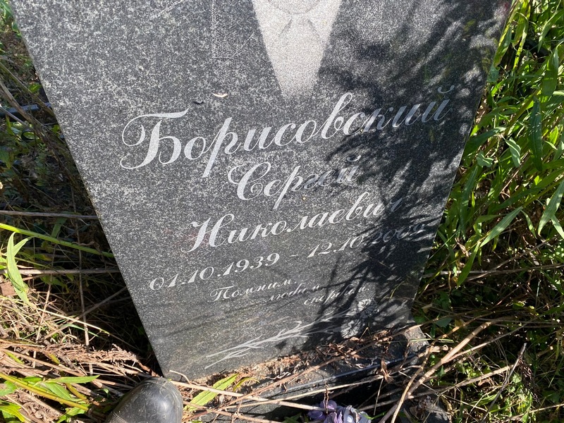 Борисовский