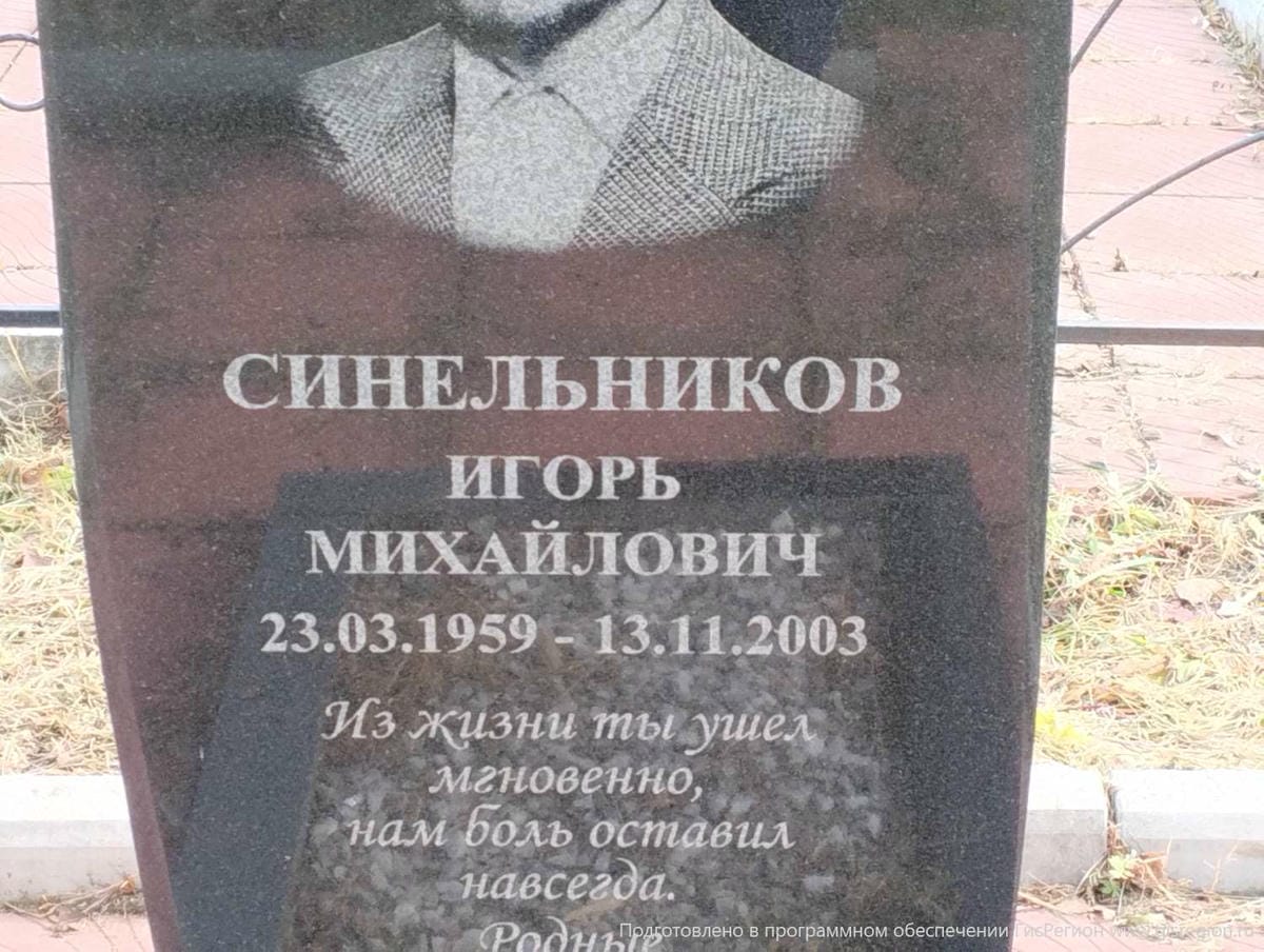 Синельников Игорь Михайлович