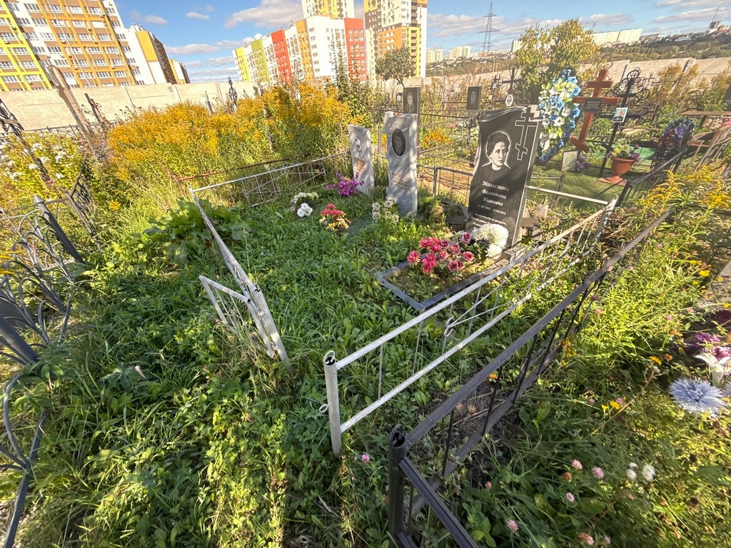 Молостов Александр Николаевич