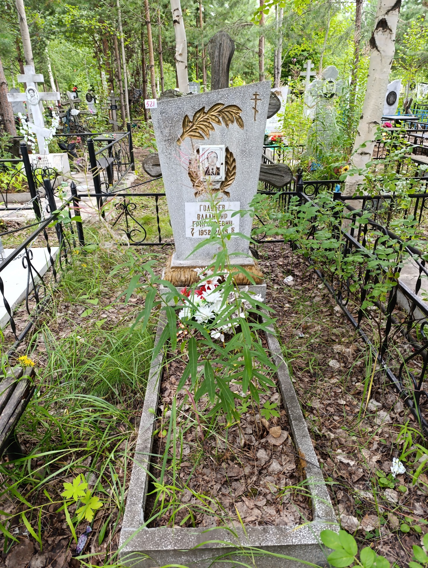 Голубев Владимир Григорьевич